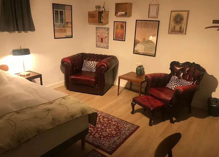 Comfortable Large Room King S Bed Near Cph Centre Kopenhagen