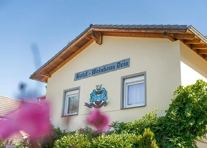 Hotel Deis Senheim