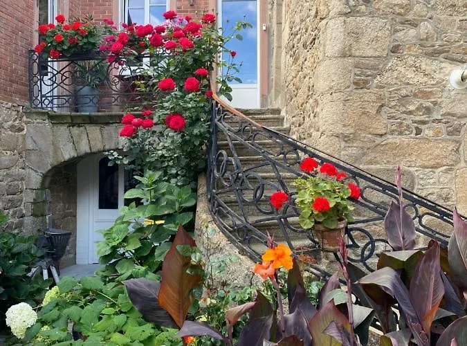 Logement Paisible En Coeur De Ville
