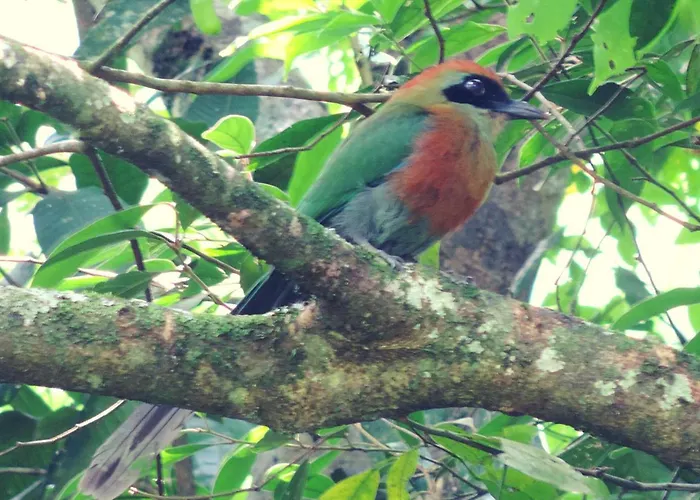 Pousada Bocaina Sao Pedro da Serra 