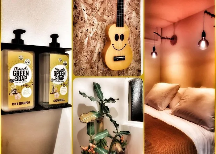 Monkey Tree Stay Schiedam