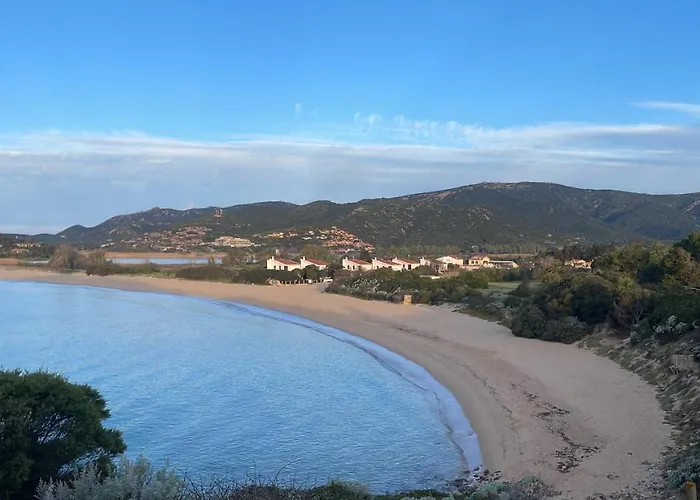 Il Gabbiano