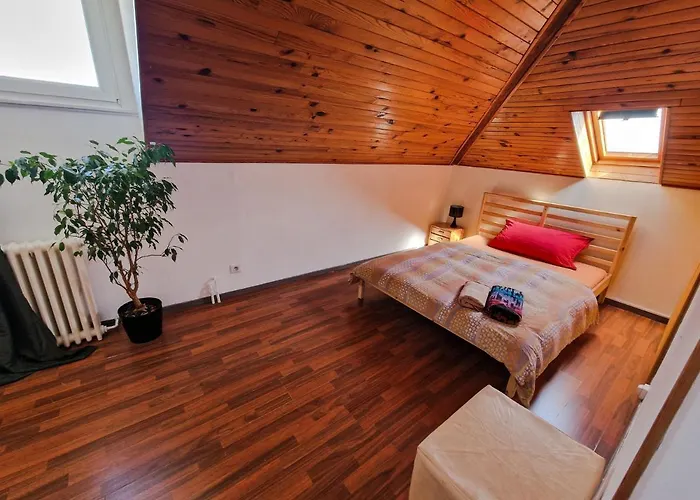 Comfortable Room 4 Minutes Walk To Basel Shared Apartment Saint-Louis 