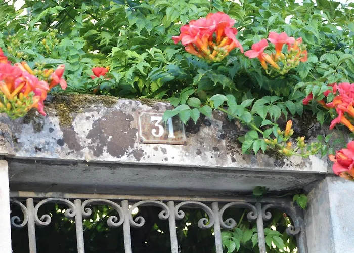 31 Rive Gauche