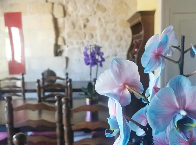 Bed and Breakfast Vignobles Fabris à Saint-Émilion