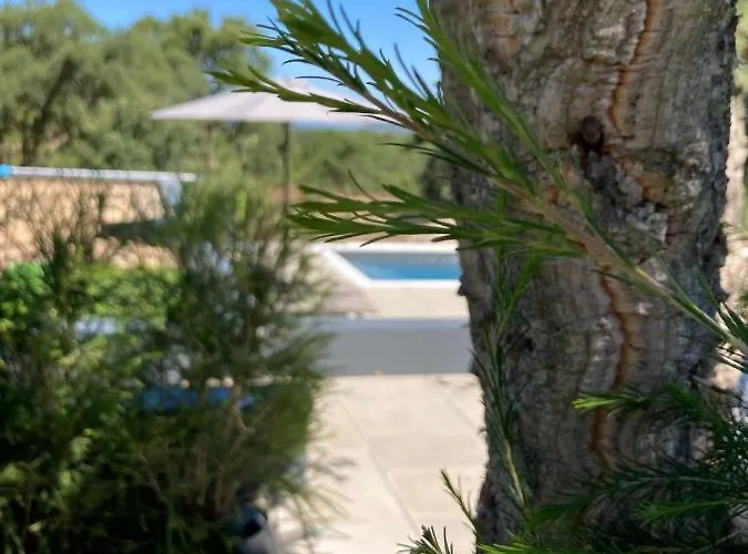 Suite Do Meco, Refugio No Meio Da Natureza Sesimbra