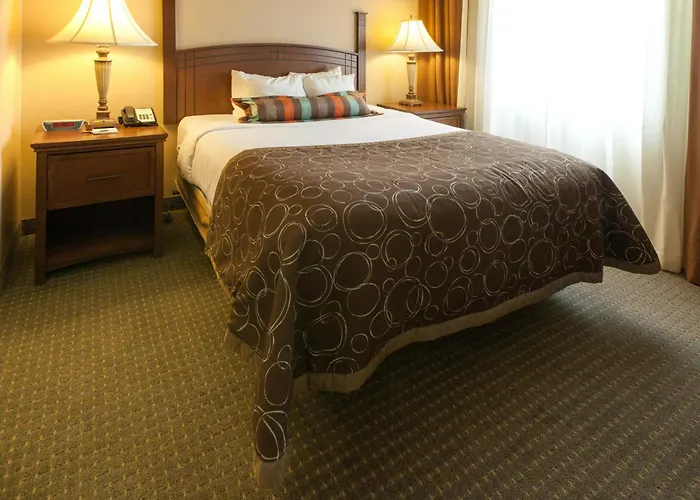 Staybridge Suites Lubbock-University Area By Ihg