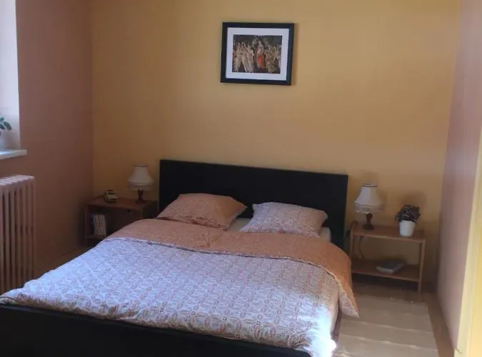 Ravissante Petite Suite Colmar