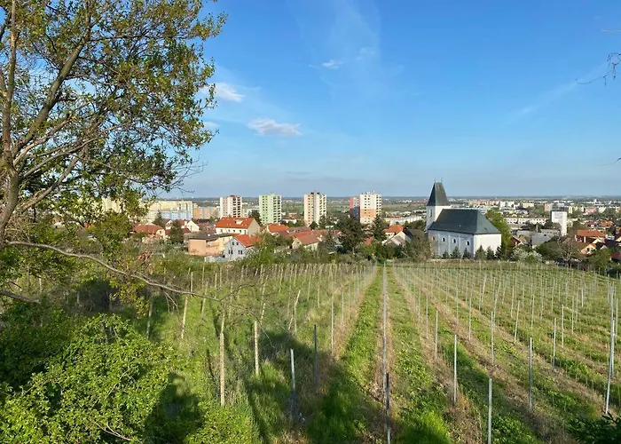 Hotel Baronka