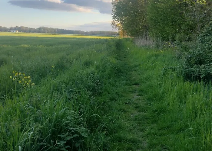 Tuinhuisje in het groen Almere