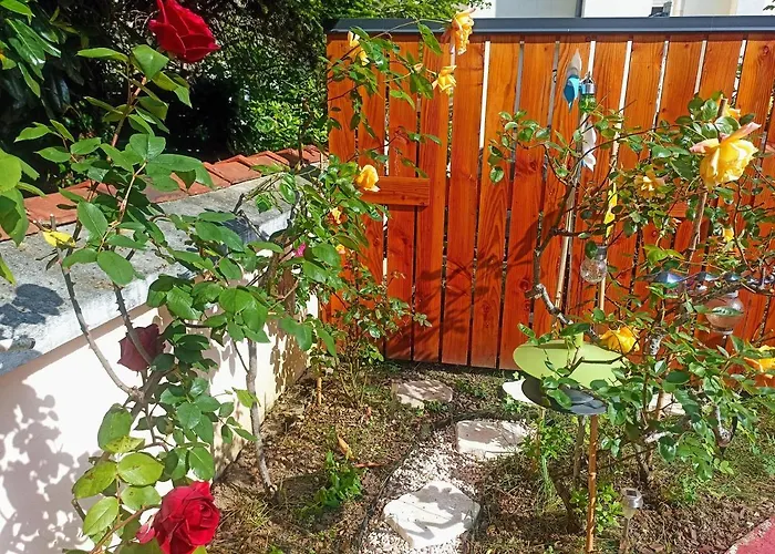 Bed and Breakfast Un Moment De Douceur à Nancy
