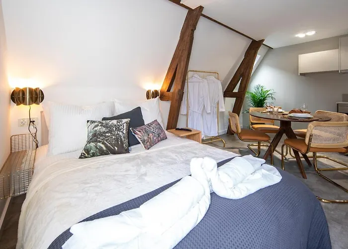 New Family Top Floor Apartment Utopia 10Min To Rotterdam Central City App5 Schiedam