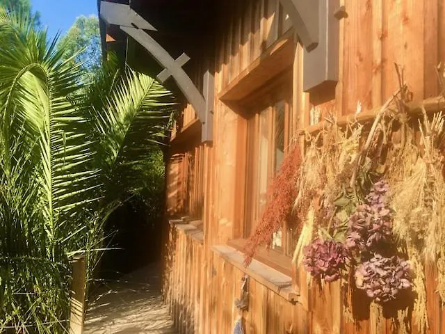 Cabane Chic au Cap Ferret