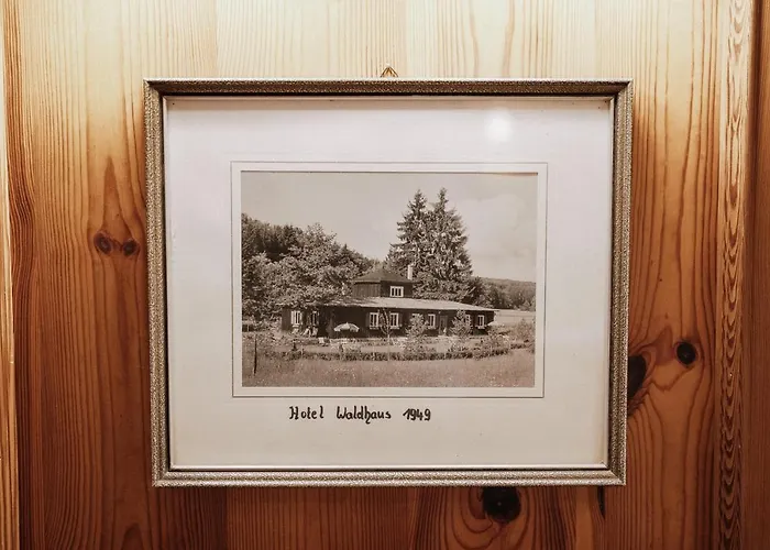 Landhotel Waldhaus Laubach 
