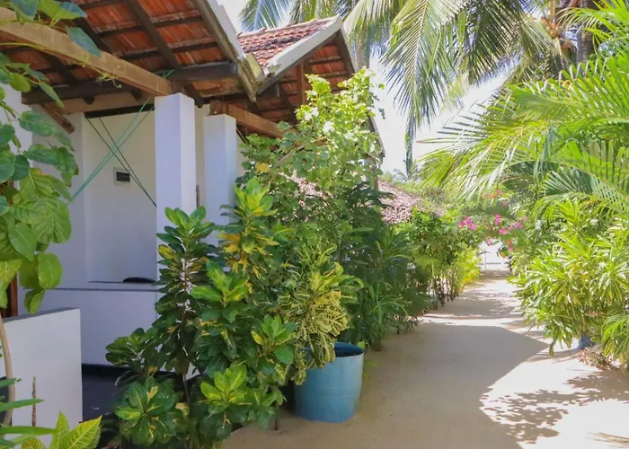 Arugam Bay Hotels