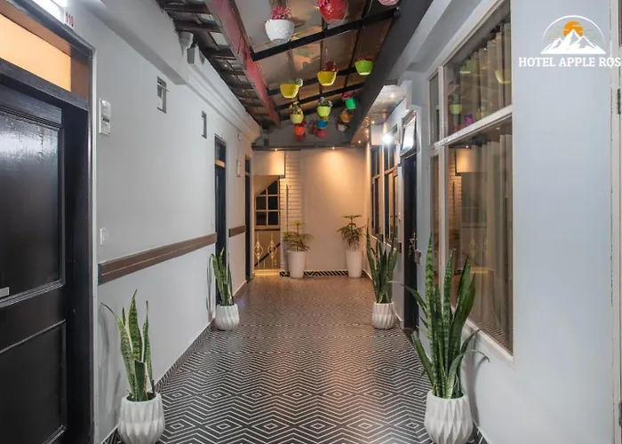 Hotel Apple Rose