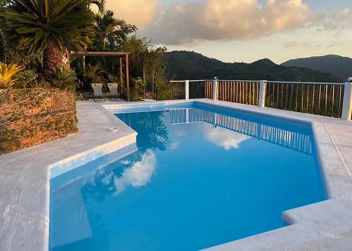 Tranquility Estate Bed & Breakfast Kingston