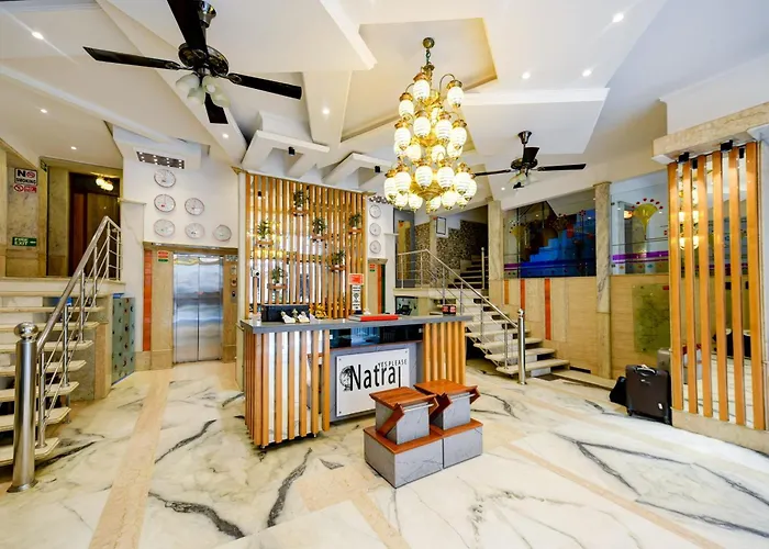 Natraj Yes Please -New Delhi