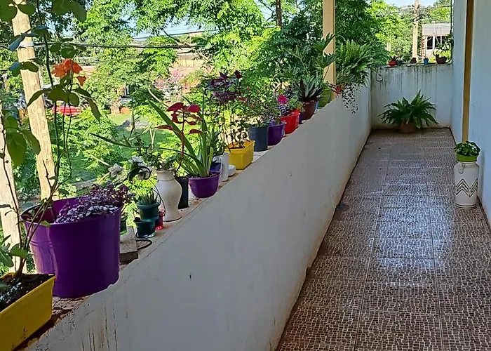 Hotel Los Chow Chow Posadas