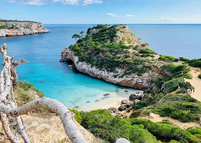 Hotel La Marina Ch Cala Figuera 