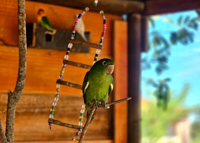 Hotel Fazenda Villa Vitta Sao Pedro 