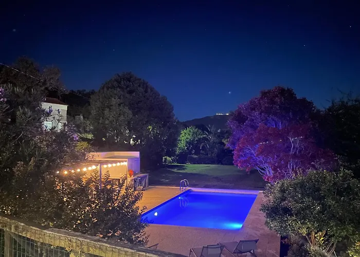 The Quixote House Bed and Breakfast Caminha
