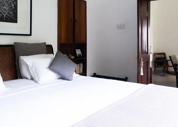 "27" Spathodea- Oasis In The City Colombo
