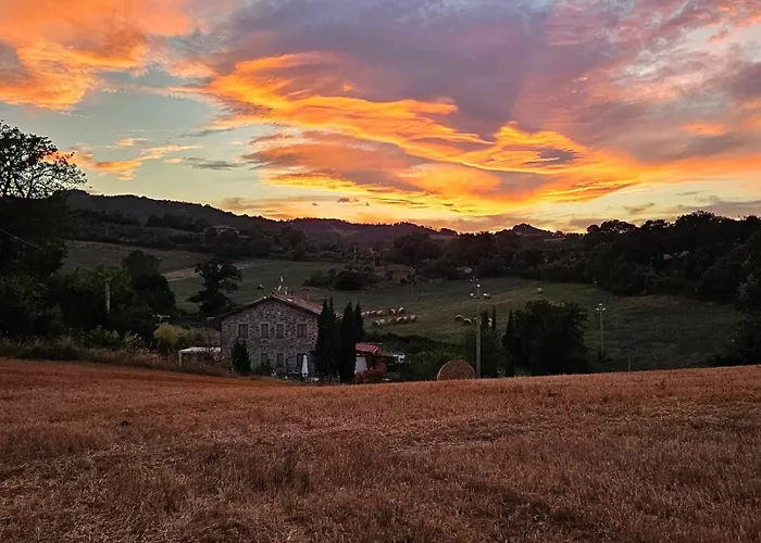 B&B Monticelli