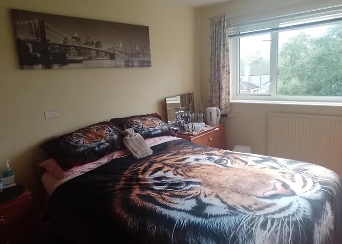 216 Glyn Eiddew Hotel Cardiff