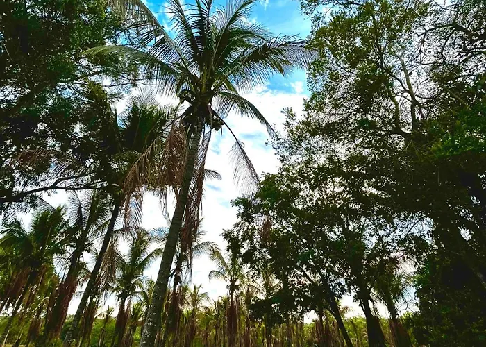 Pousada Coqueiros Delfinópolis
