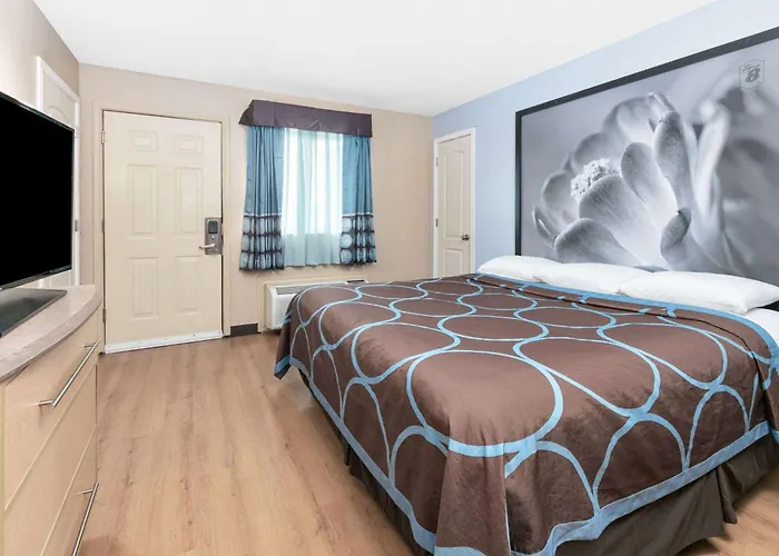 Super 8 By Wyndham New Braunfels I-35 Hotel