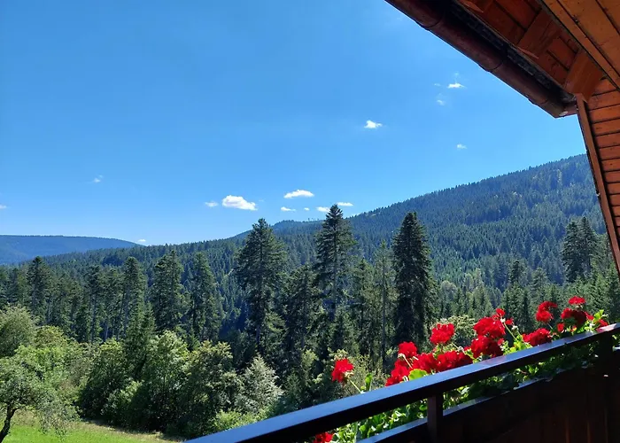 Landhaus Waldeshöhe