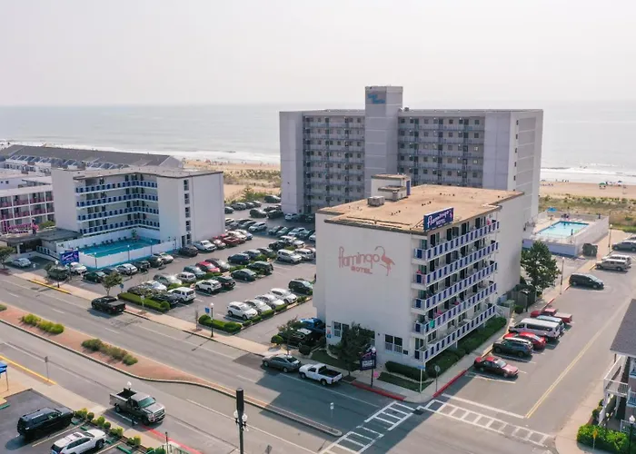 Flamingo Motel Ocean City