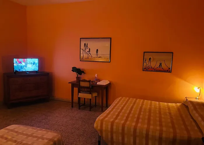 B&B Bruno