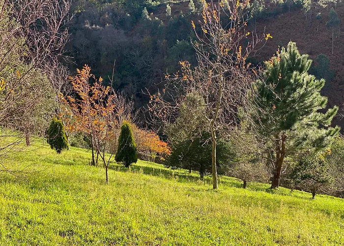 Finca Portizuelo
