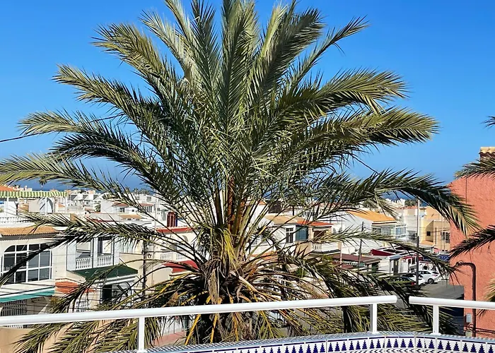 Bed and Breakfast Anna'S Garden Torrevieja