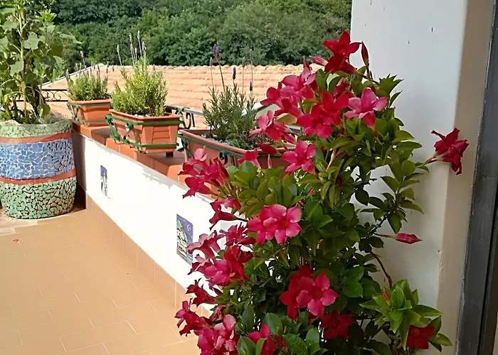 Bed and Breakfast Il Covo delle Civette Vietri