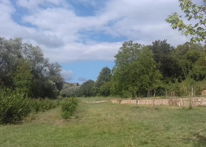 Aux vignes