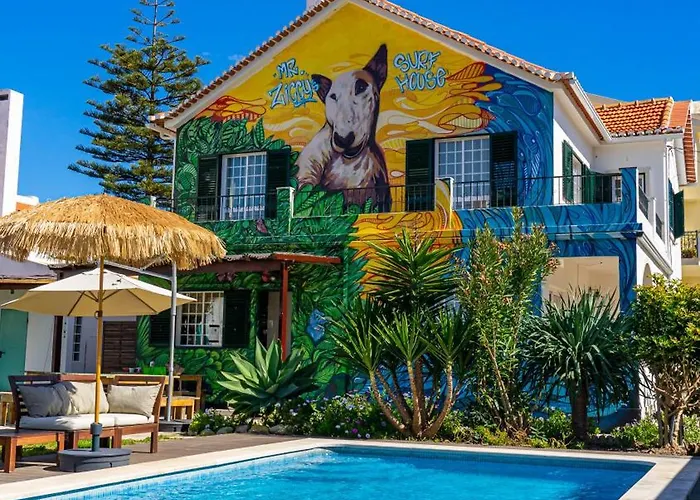 Mr Ziggy'S Surfhouse