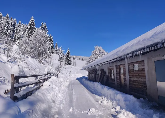 Berggasthaus Präger Böden Todtnau