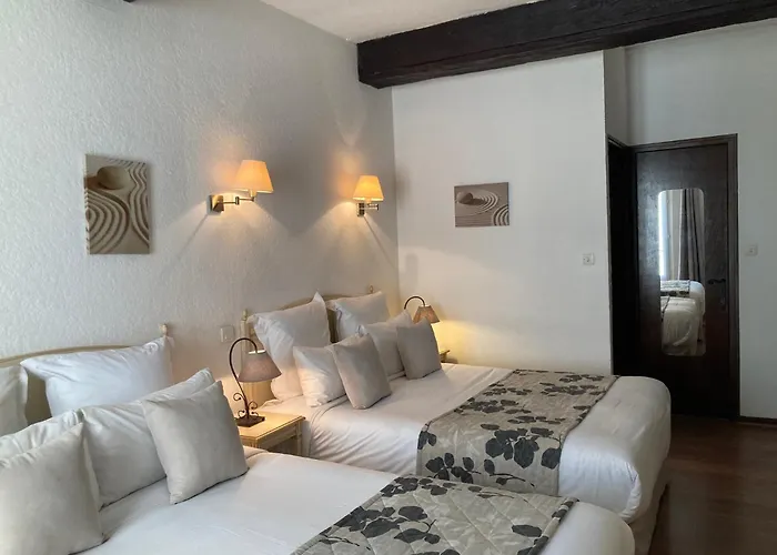 Hotel Porte De Camargue - Les Quais D'Arlés