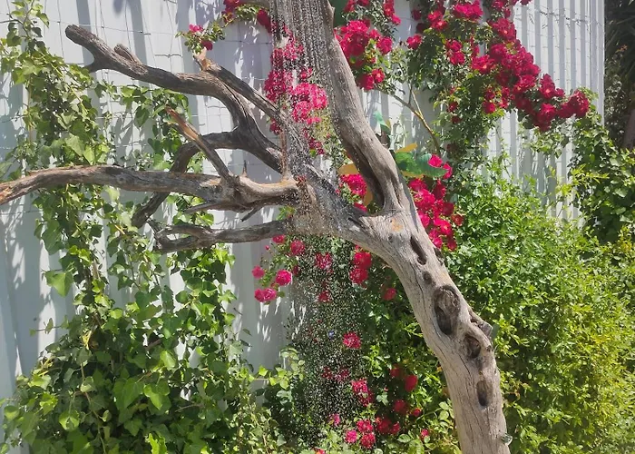 El molino del abuelo