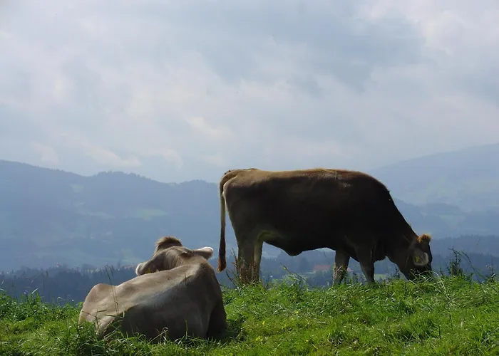Landhotel Herzberger Garni Zimmer & Ferienwohnungen Scheidegg