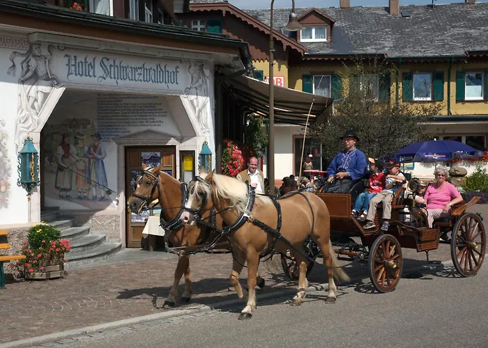 Hotel Schwarzwaldhof Hinterzarten
