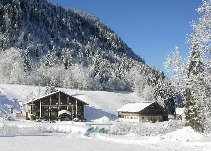 Hôtels à Châtel