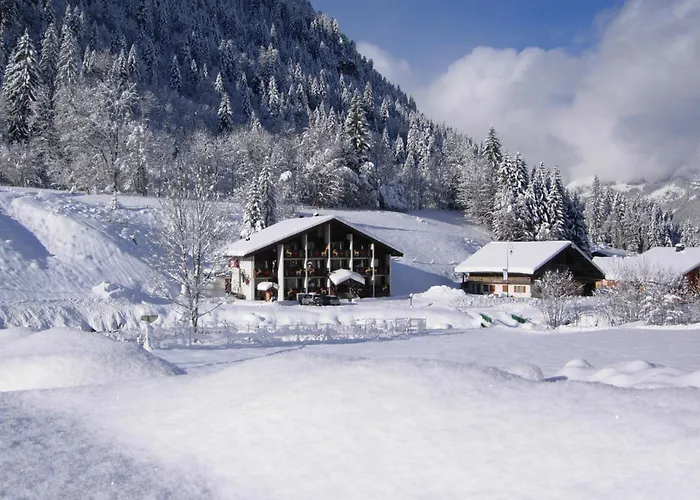 Hotels in Châtel