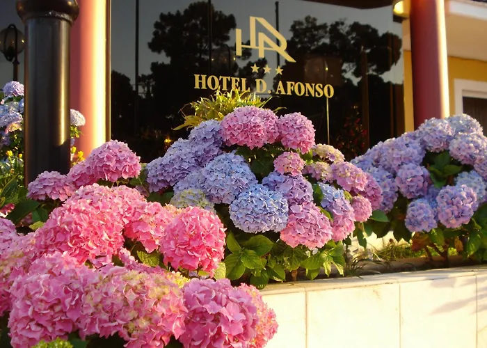 D. Afonso Hotel & Spa Monte Real