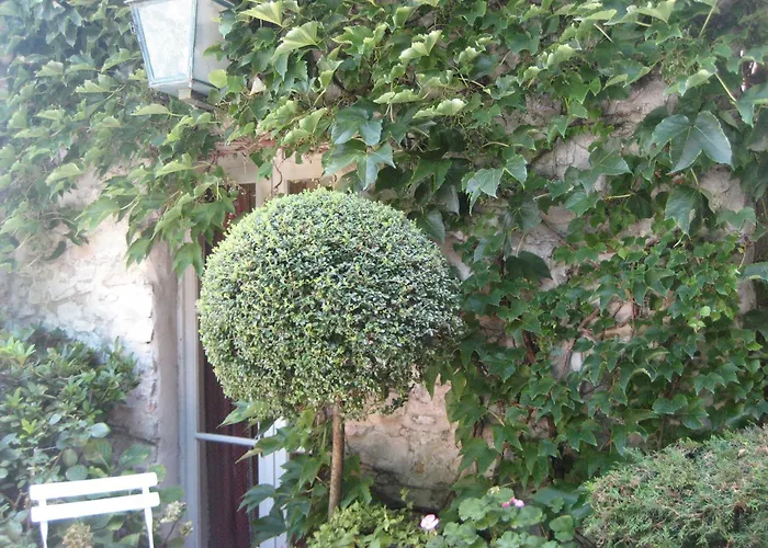 Maison d'Hôtes de l'Evêché Vaison-la-Romaine