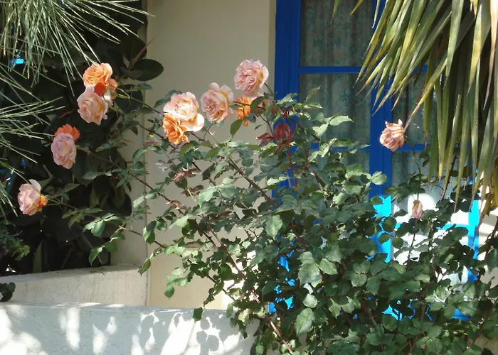 Hôtels à Agia Pelagia (Crete)
