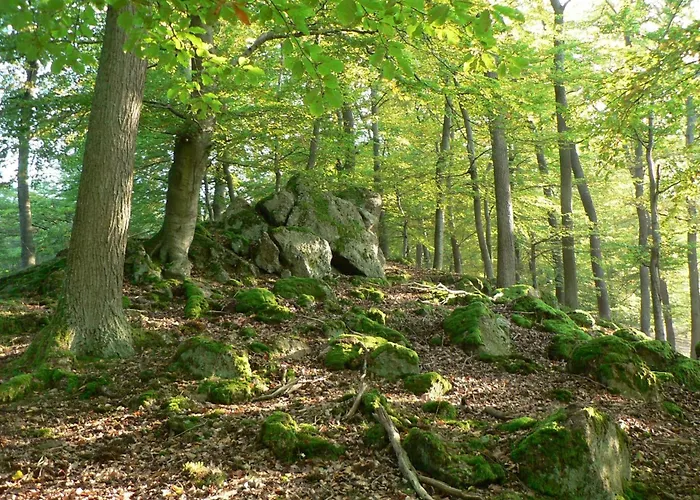 BELVEDERE - das BIO HOTEL Garni&SuiteHotel am Edersee